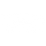 GLOBAL VISION